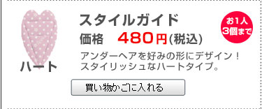 同時購入限定スタイルガイド(ハート)